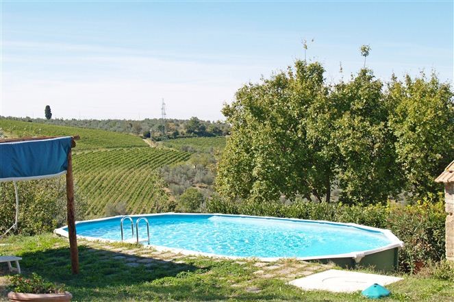 Swimming pool and vineyard in the background