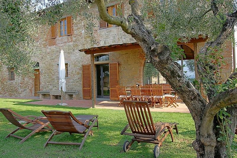 Garden and olive trees