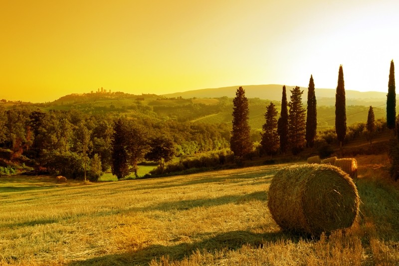 Tuscany Countryside, Italy