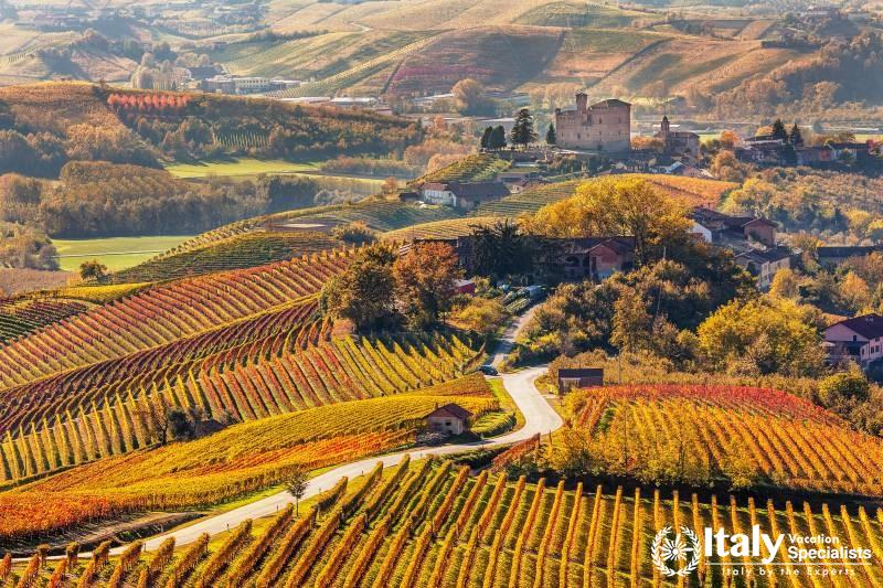 Italy's Northern Wine Country:  Fine Wines, Food and Incredible Landscapes in Piedmont, Cinque Terre and Tuscany (Personalized Experiences)