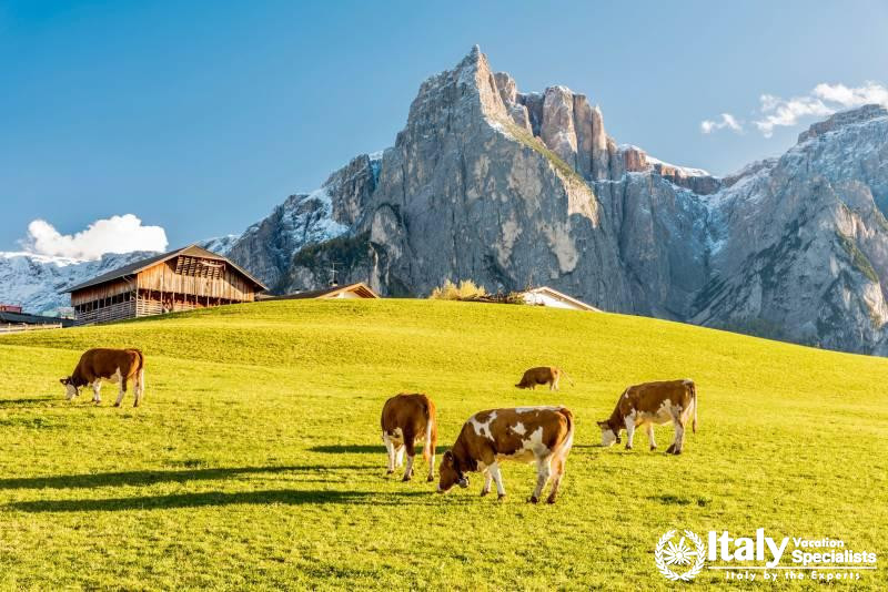 Food and Wine Tours Trentino Alto Adige 