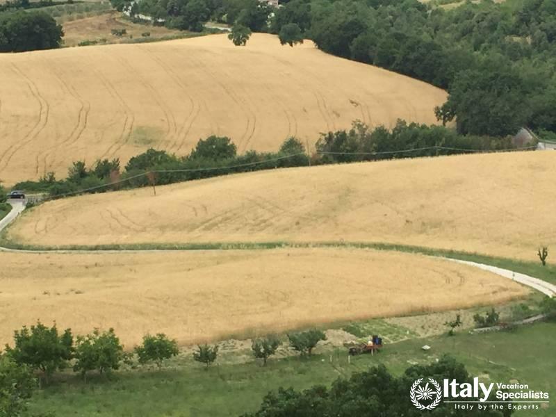 Tours of Umbria with Local Driver 