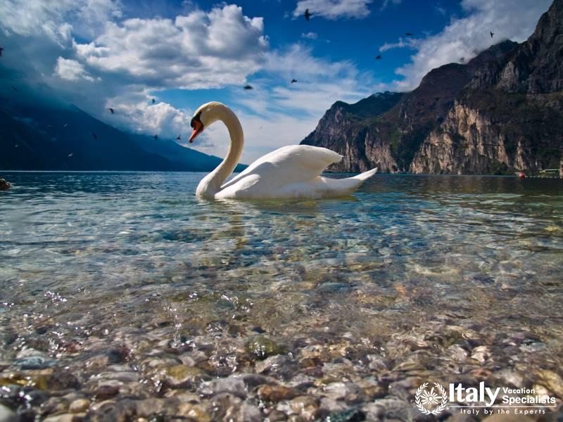 Lake Garda Full Day Tours with Italy Vacation Specialists 