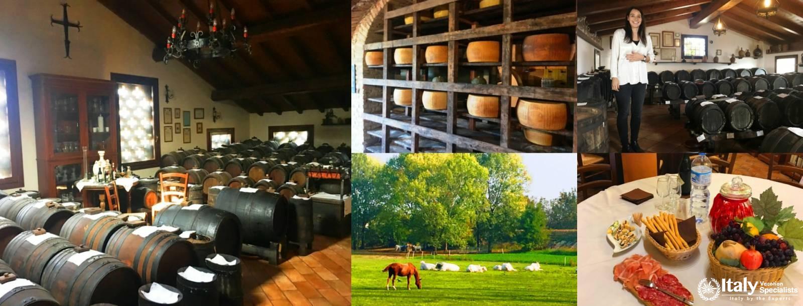 A Day in Emilia Romagna with Local Tastings and Cooking Course 