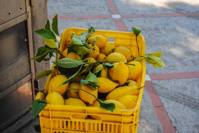 Experience Fresh, Local Organic Cooking in Italy 