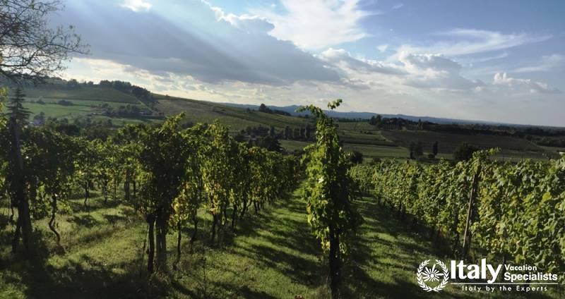 Private Wine Tours of Emilia Romagna 