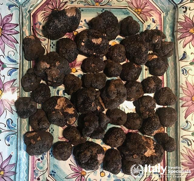 Cooking Class Truffle Hunt