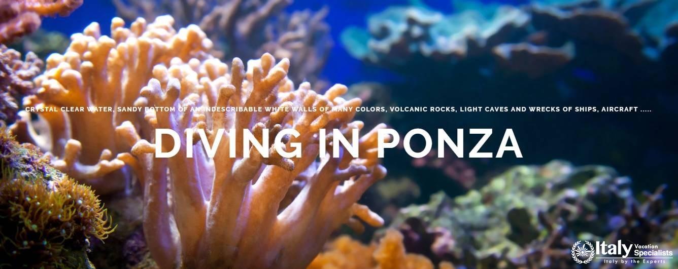 Diving in Ponza 
