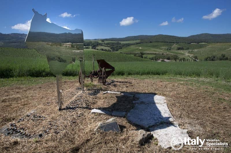 Music and Wine Experience