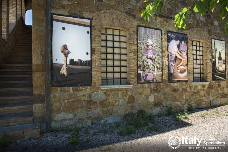  Montalcino Wine Tours 