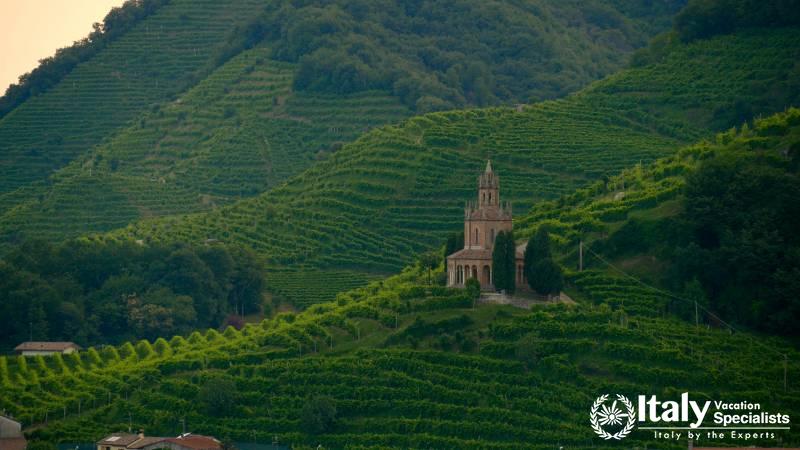 Customized Wine Tour