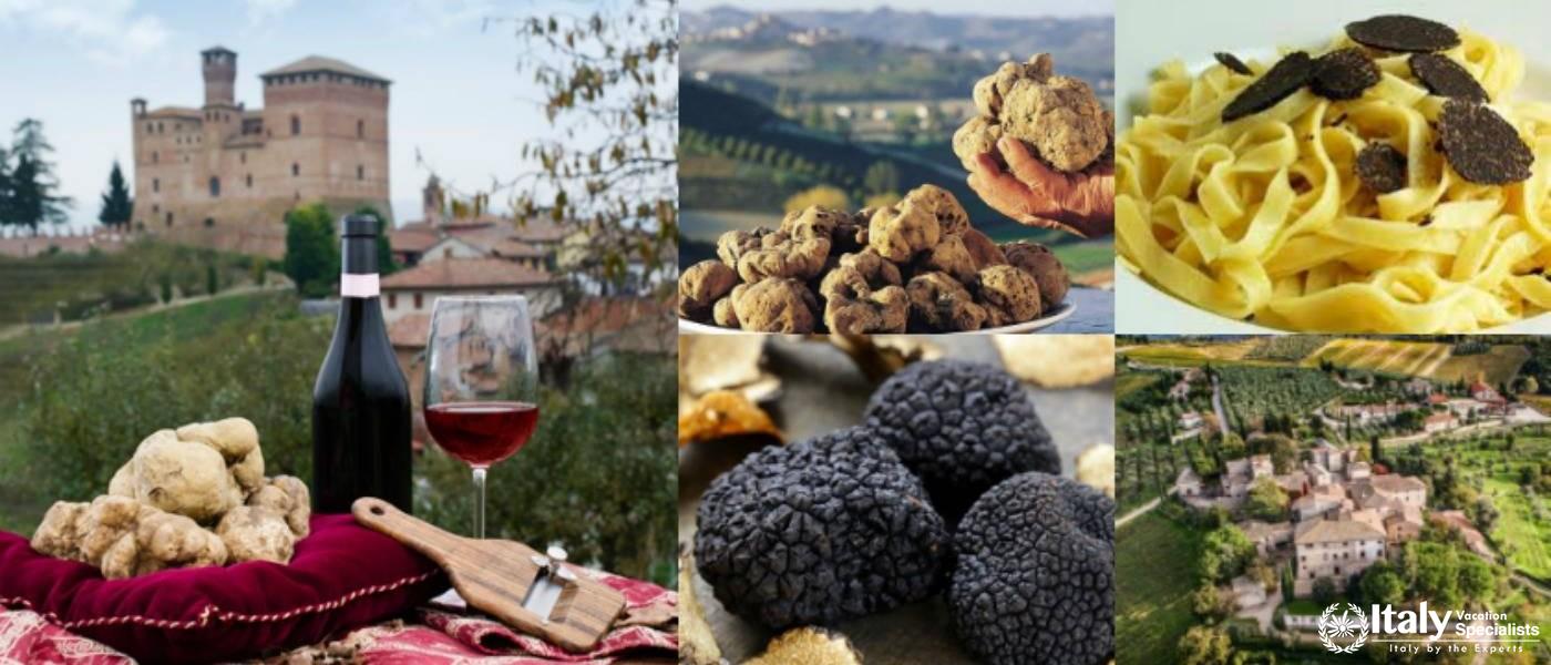 Truffle Hunting Experience Tuscany Region, Italy 