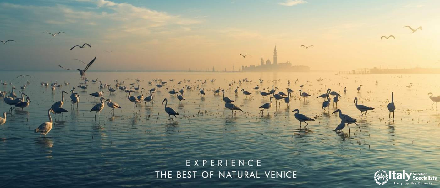 Birdwatching Venice Lagoon