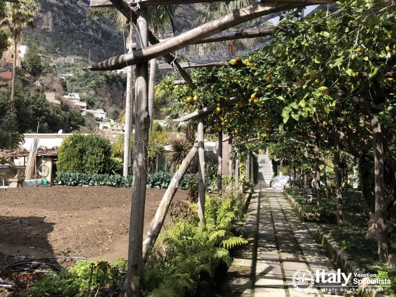 Local Cooking Experience Amalfi Coast