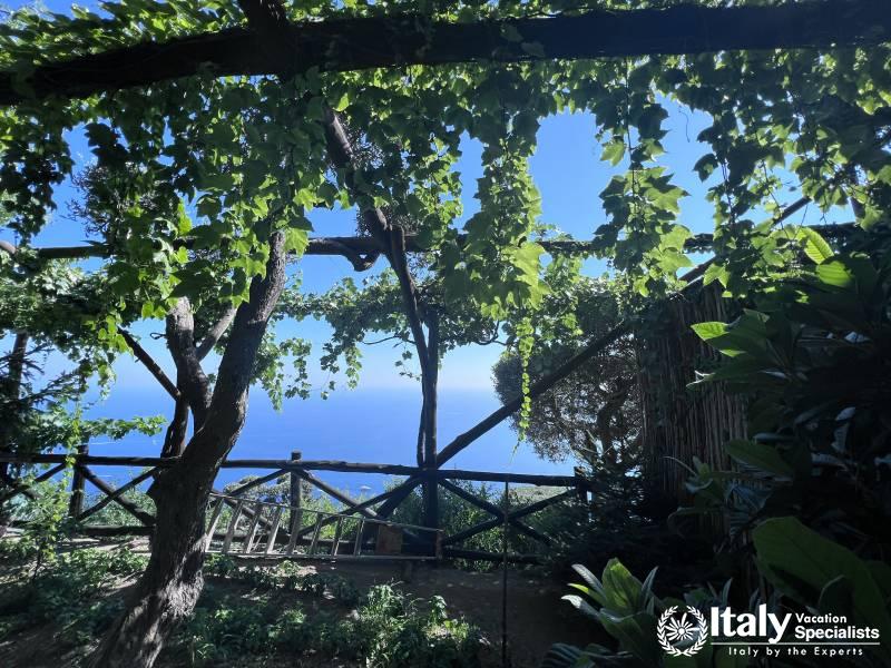 Experience Cooking in Garden on the Amalfi Coast 