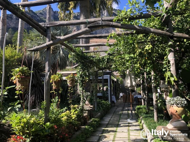 Experience Cooking in Garden on Amalfi Coast 