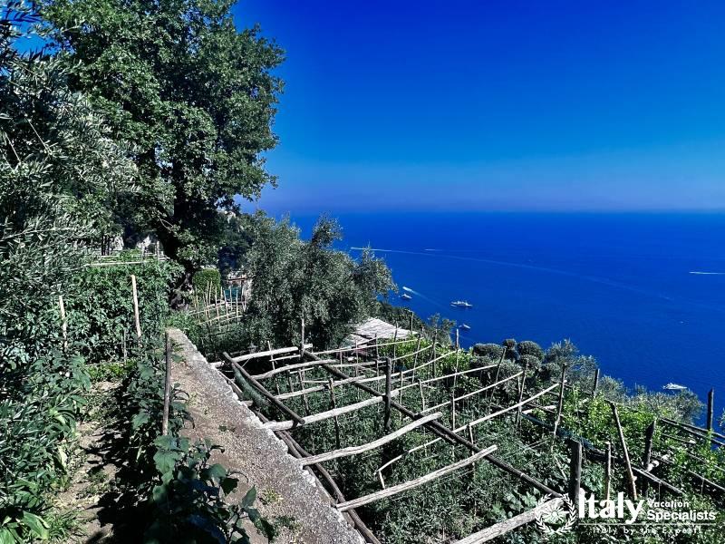 Cooking in Garden Amalfi Coast 