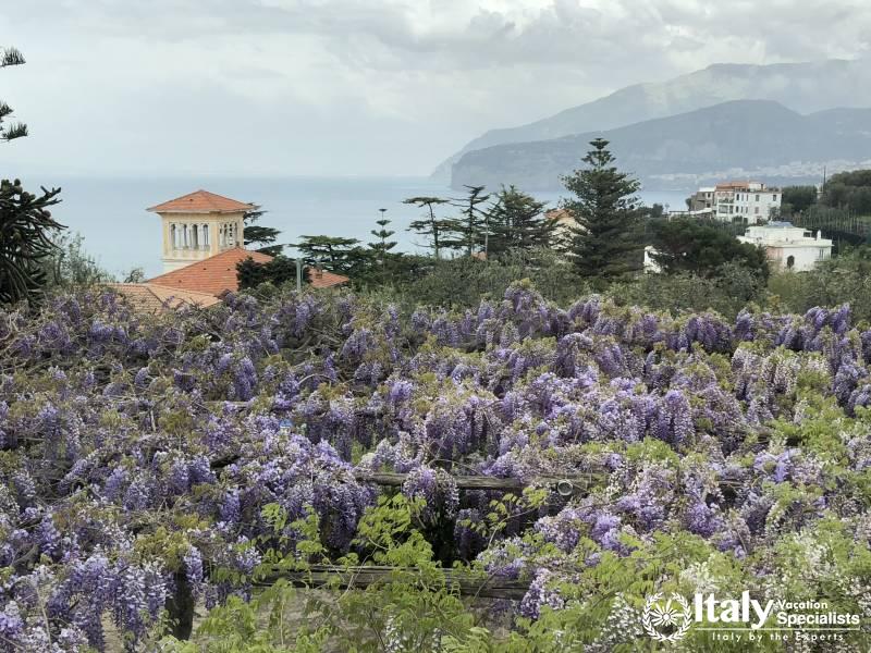 Cooking Schools Amalfi Coast Italy 