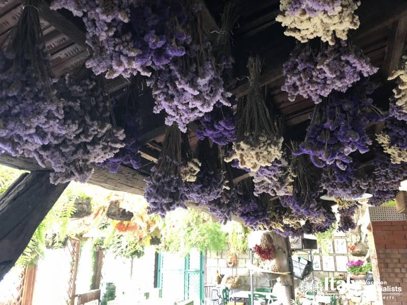 Lavender Hangs from the Ceiling Cooking Amalfi Coast 