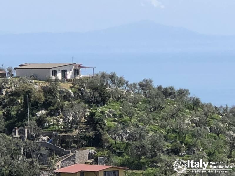 The Sorrento Farm Cooking School Amalfi Coast 