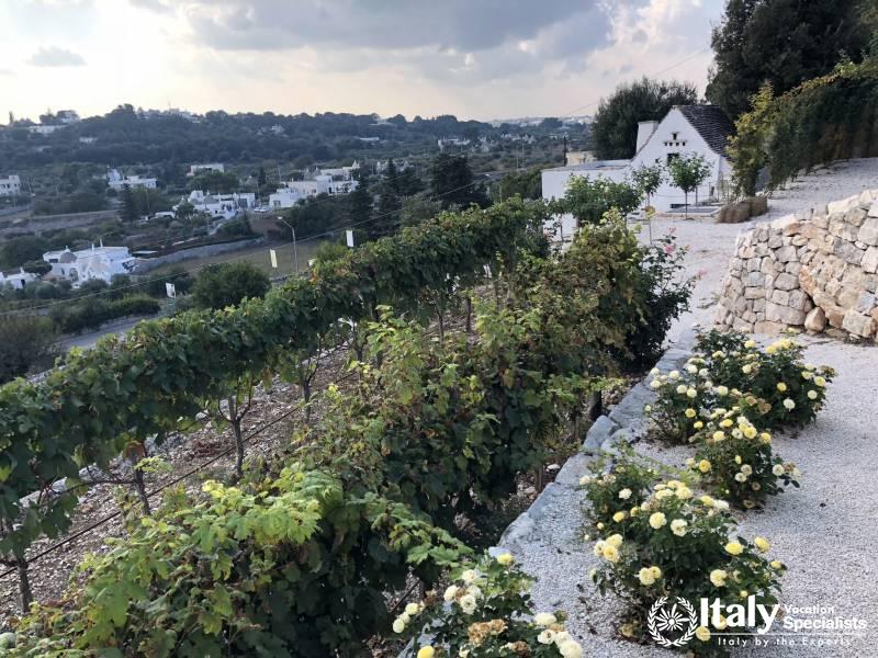 Puglia Full Day Driving Tour 