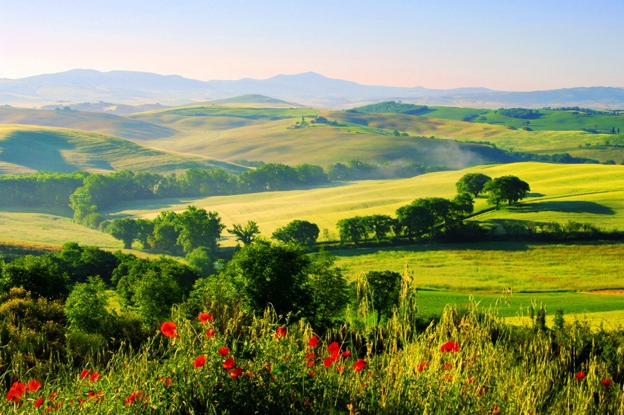 Southern Tuscany landscape in Spring 