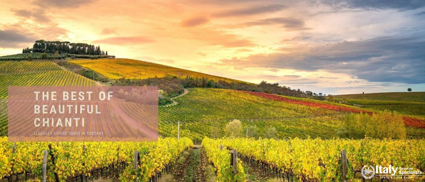 Full Day Chianti Private Tour 