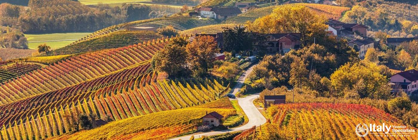 Beautiful Wine Roads of Canavese