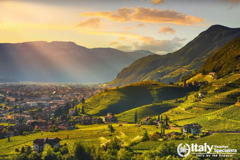 Wine Tours of Trentino Alto Adige Tours