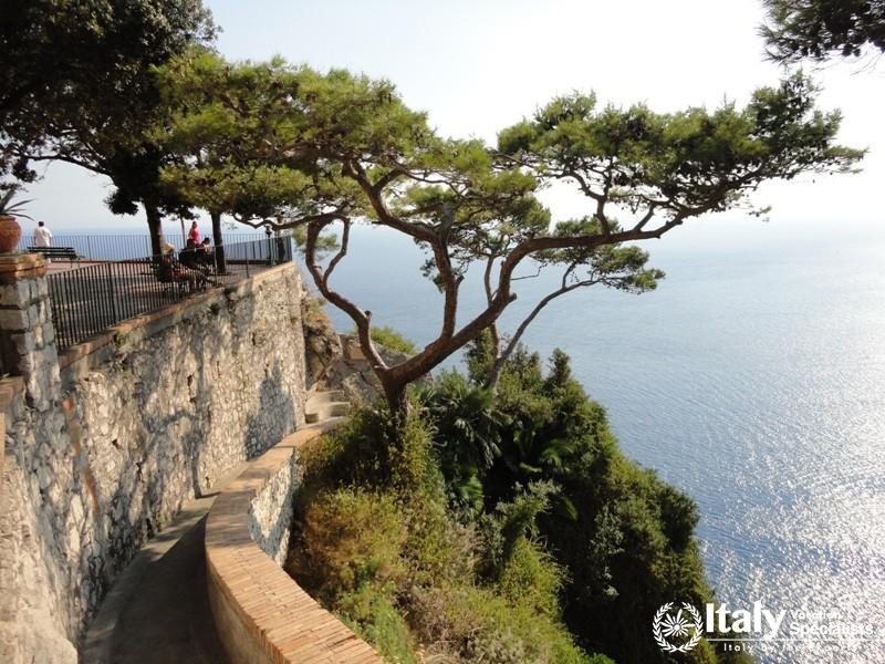 Vegetation, Island of Capri, Italy