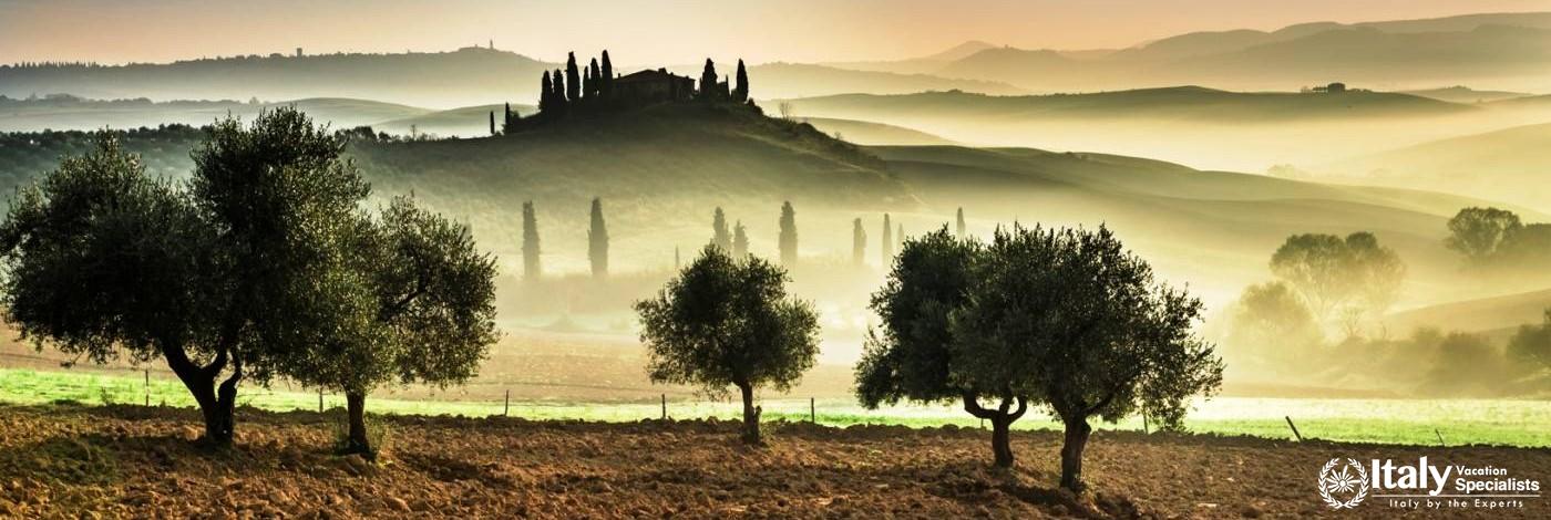 Cooking Among the Olive Trees in the Spectacular Southern Tuscany 
