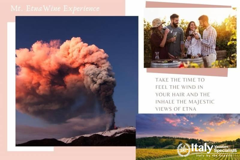 Full Day Sicilian Wine Experience 