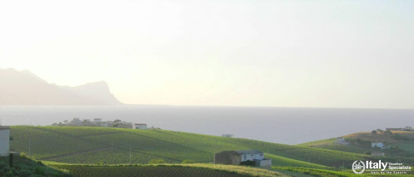 Sicily Wine Experience 