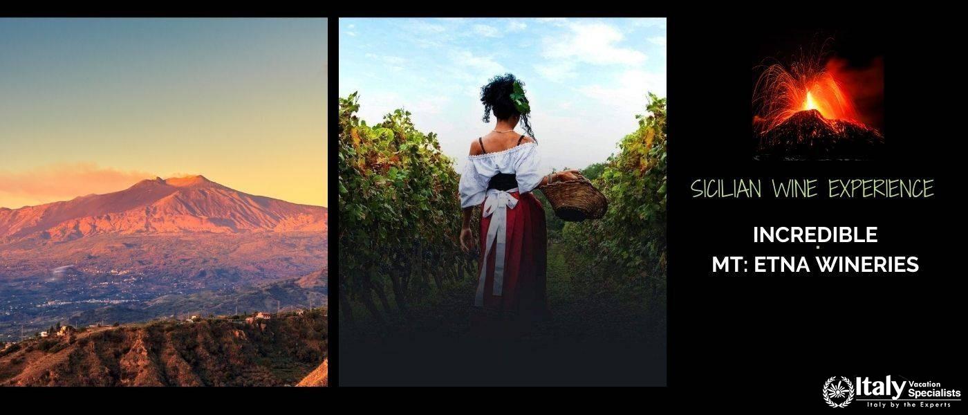 Sicilian Wine Experience 