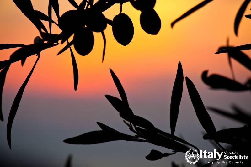 Experience Italys Deep South 