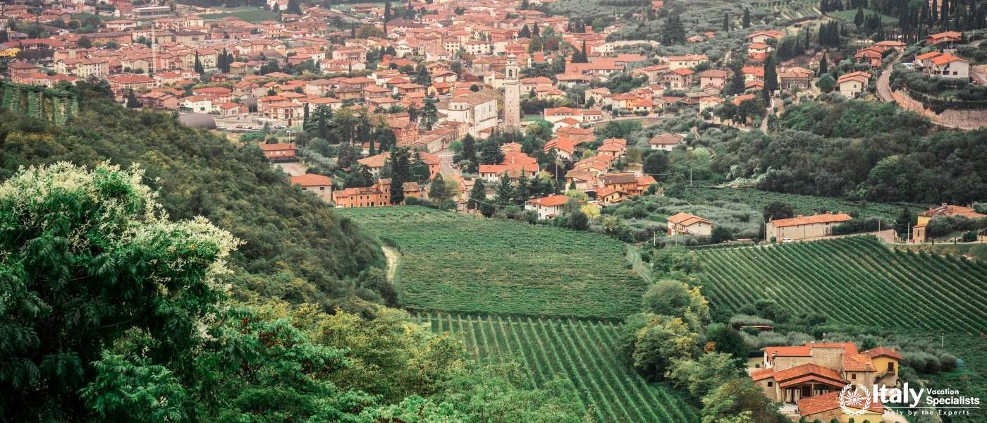 Valpolicella and Amarone Wine Tour from Venice 