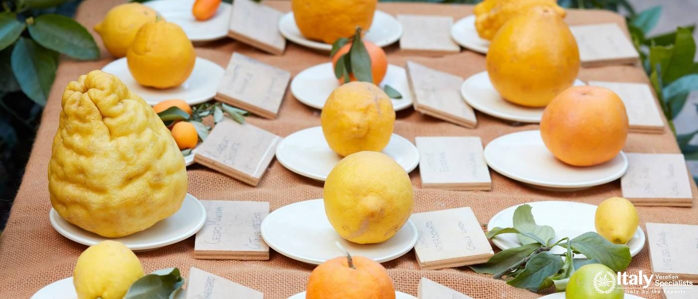 Calabria Food and wine experience 