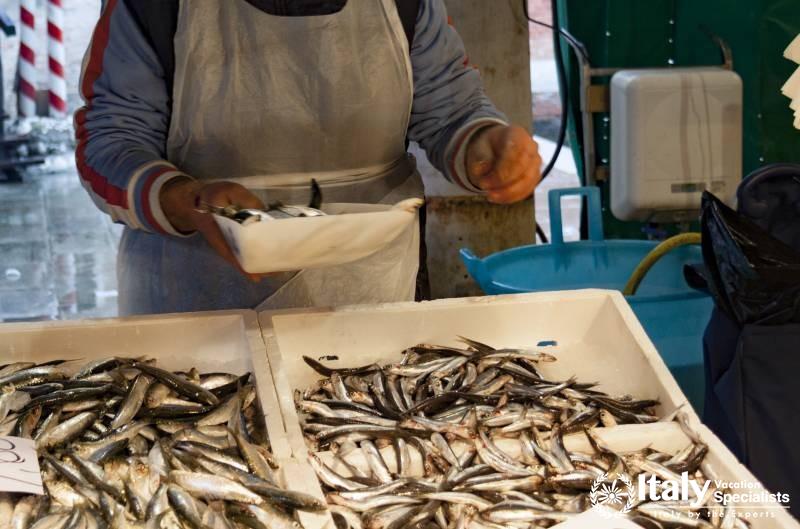 Cooking Courses in Lucca, Italy 