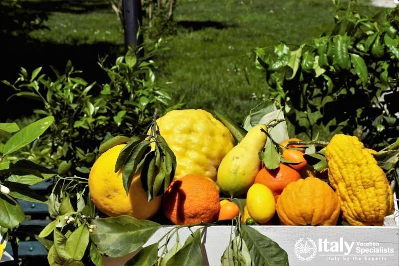 Calabria Cooking and Wine with Local Guides 