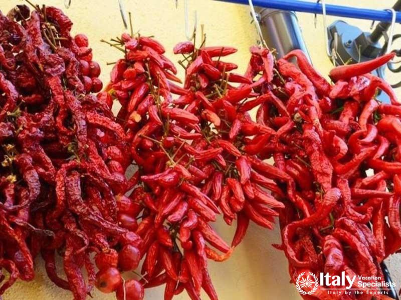 Cooking and Wine in Calabria 