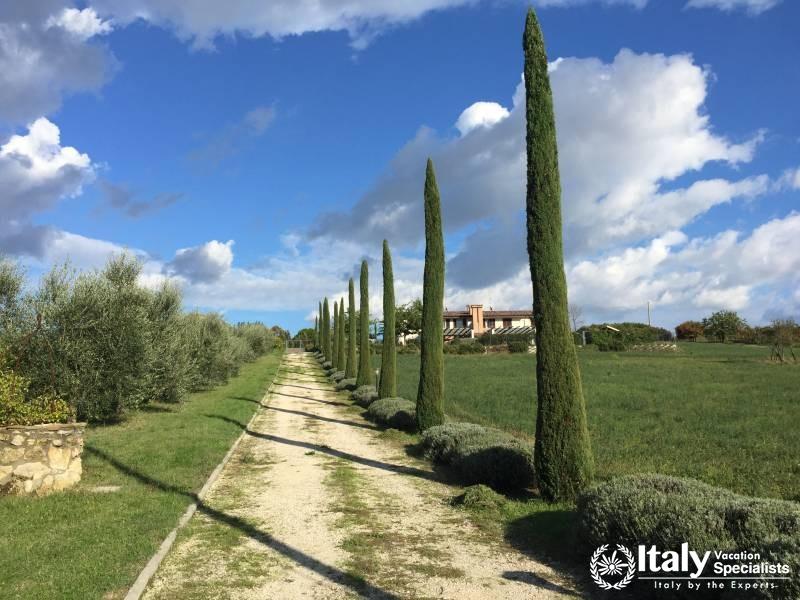 Countryside Emilia Romagna - Landscape Photo 