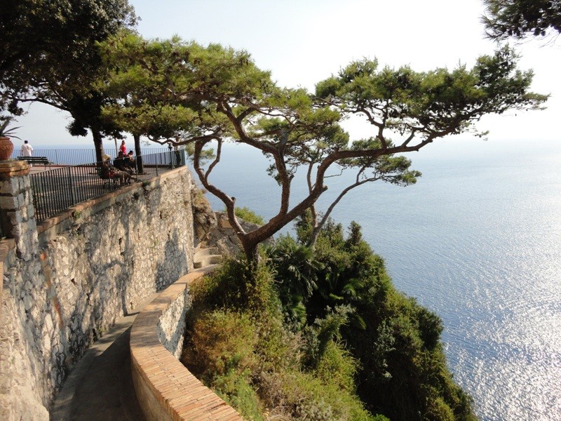 Vegetation, Island of Capri, Italy