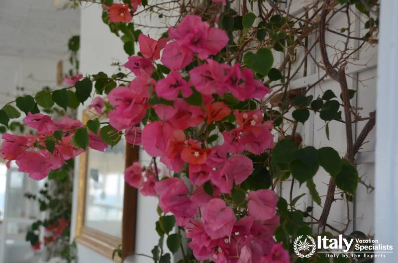 Italy Vacation Specialists Beaches of Rome Private Tours 