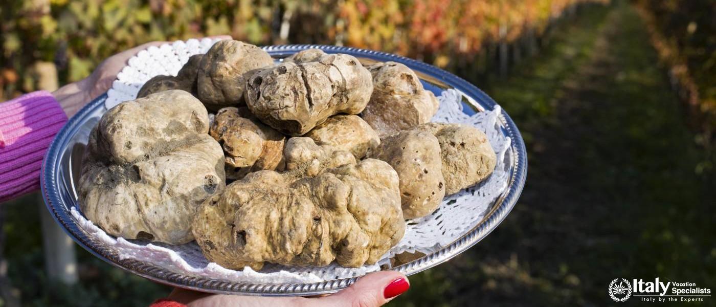 Truffle Hunting in Tuscany 