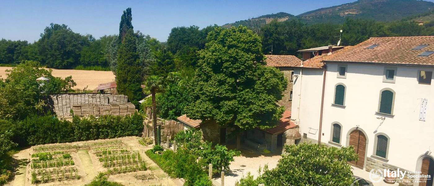 A true garden to kitchen cooking experience in Tuscany 