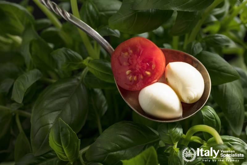 Freshest of Fresh Basel