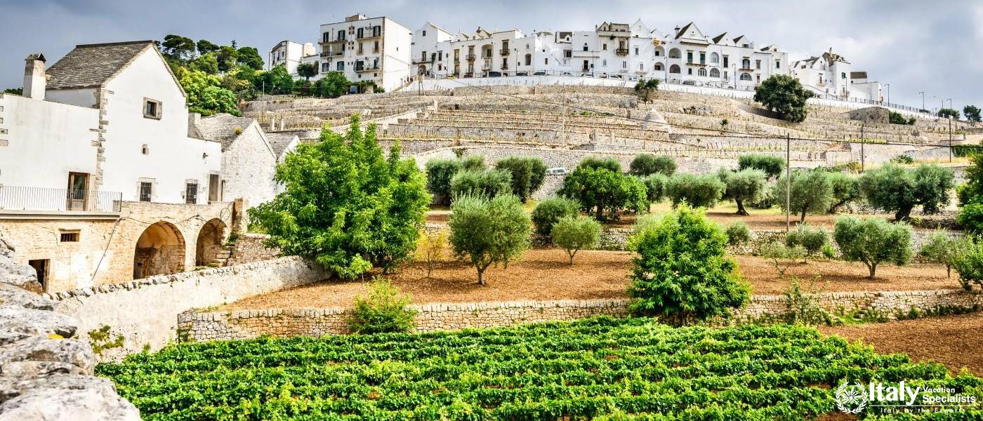 Private Tours in Puglia, Italy 