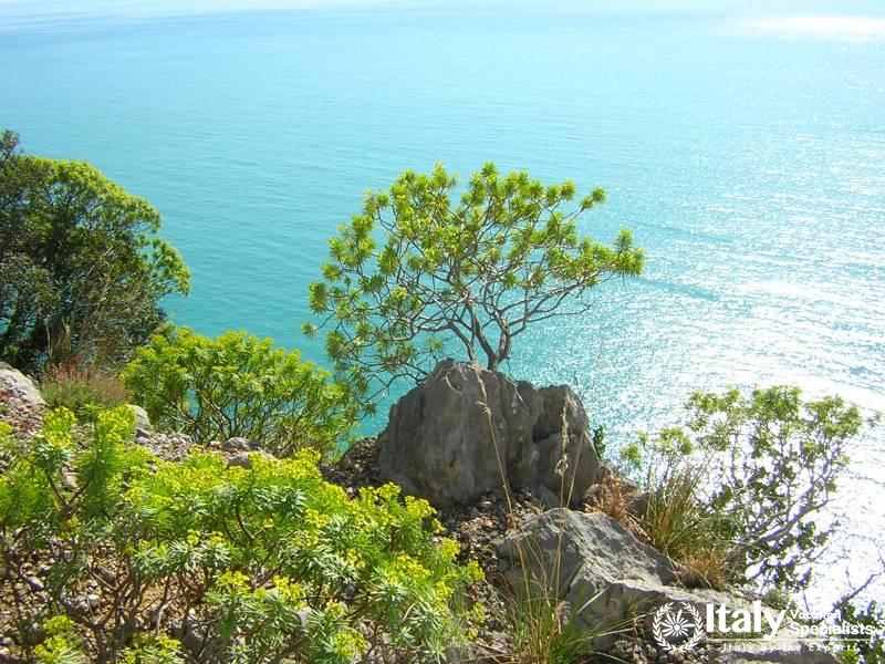 Basilicata Coast of Maratea 